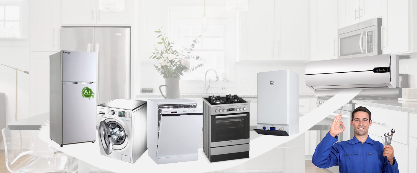 Ağın Electrolux Servisi